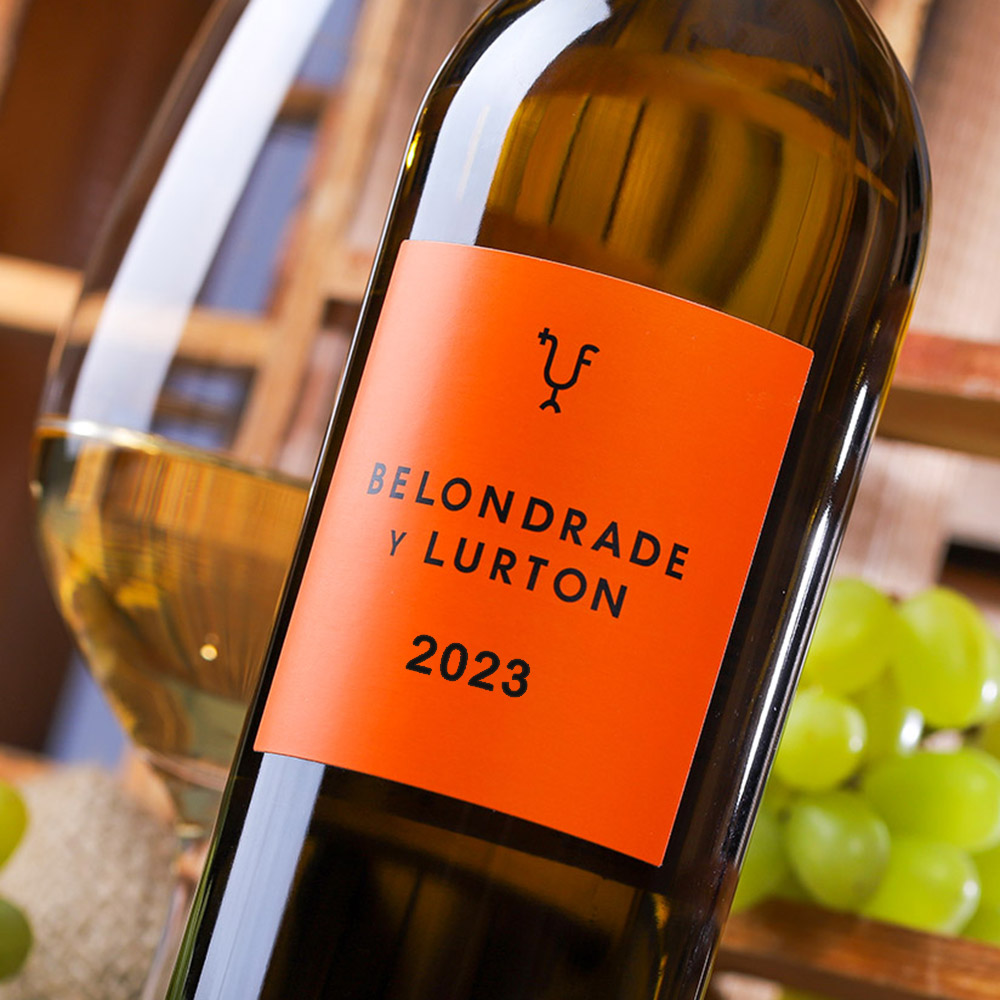 Verdejo 2023 Belondrade y Lurton Bio