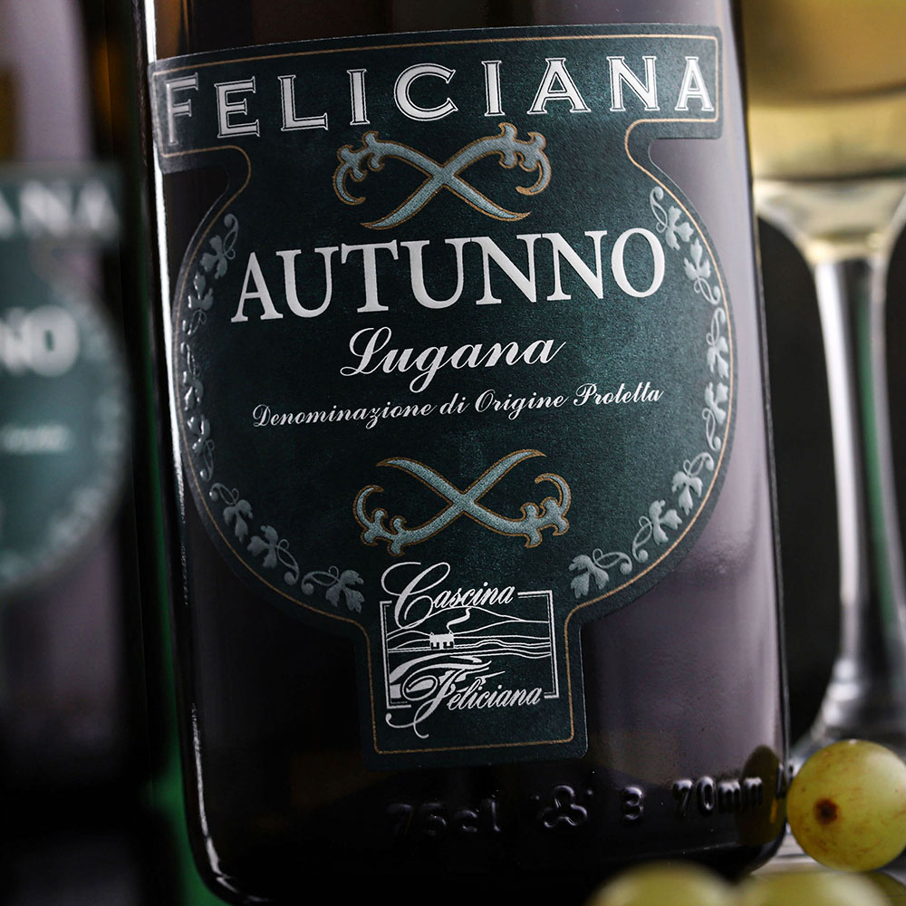 Lugana 2023 Autunno