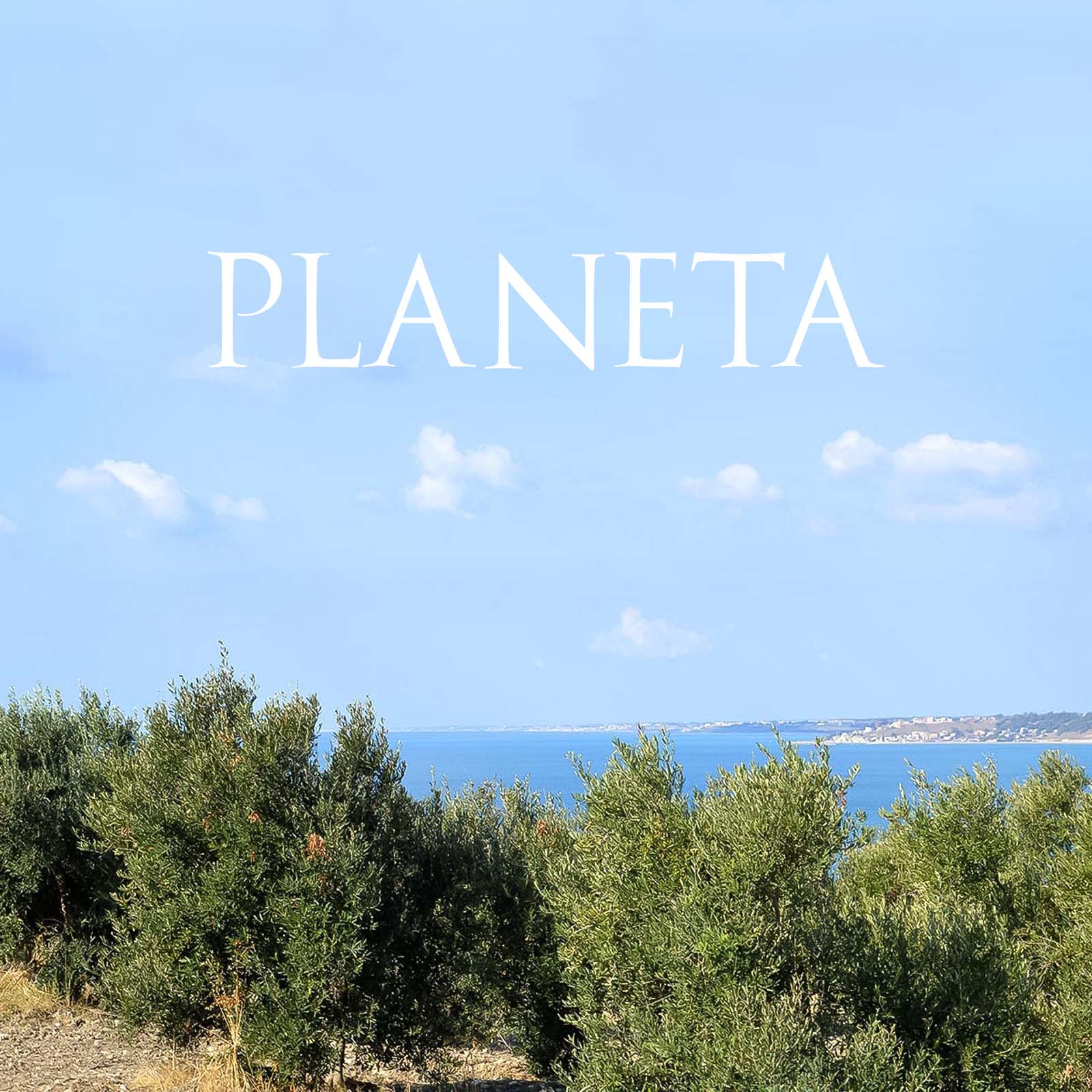 6er-Sparpaket 0,5 L Olivenöl Extra Vergine Sicilia 2024 Bio